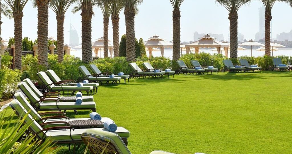 Smart Rewards Living Button (2)